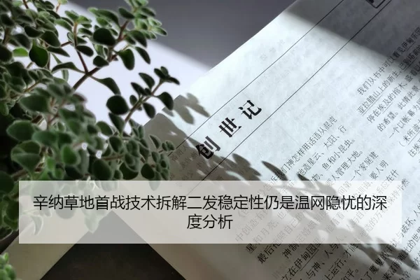xin-na-cao-di-shou-zhan-ji-shu-chai-jie-er-fa-wen-ding-xing-reng-shi-wen-wang-yin-you-de-shen-du-fen-xi-2-711.jpg